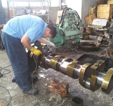 DL-22 crank shaft